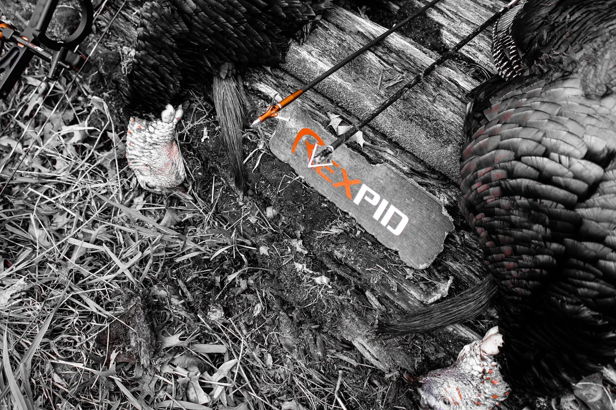 PeppermintOne REXPID NURI penetration-detail with rotary blades in action.