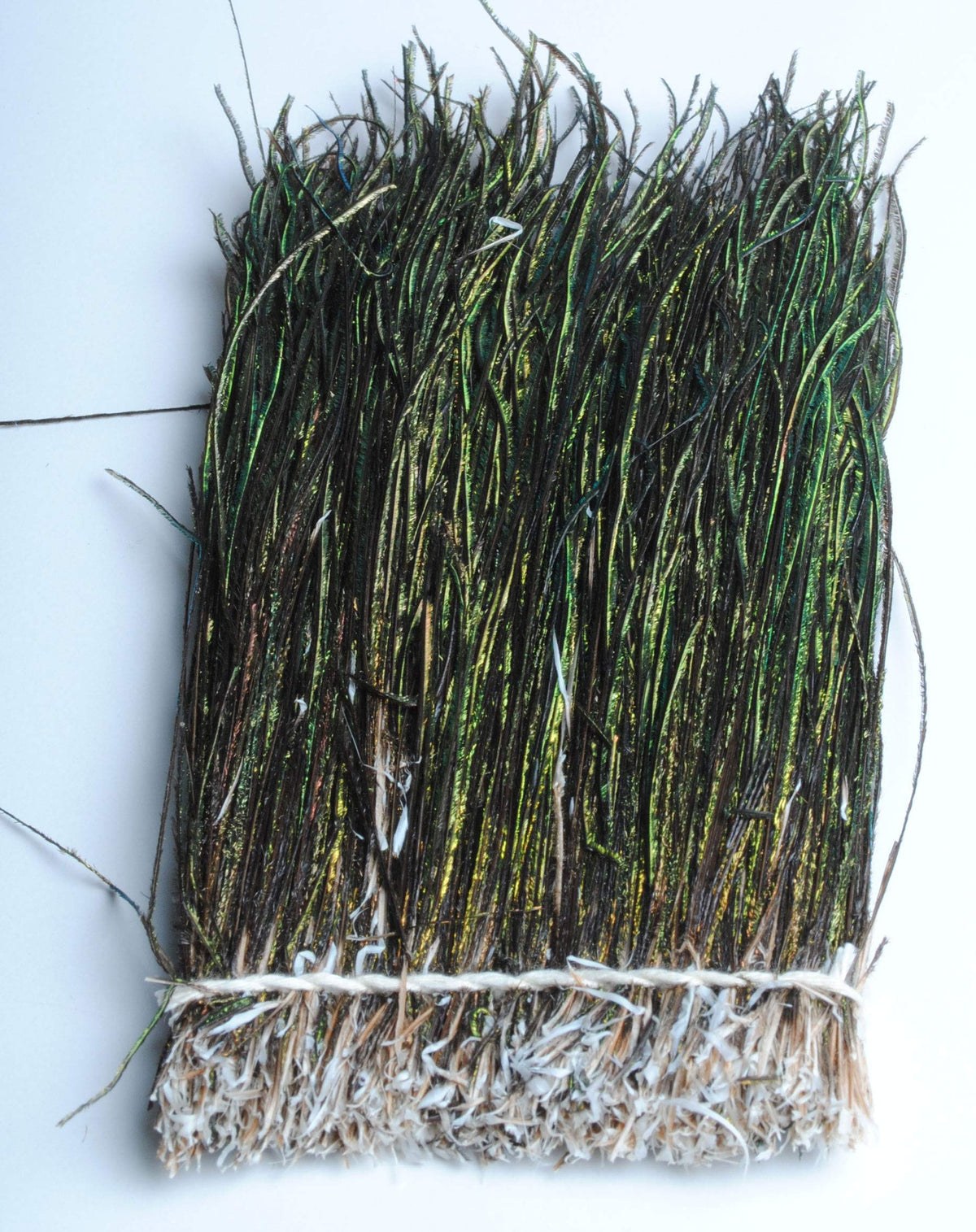 Perfect Hatch Peacock Herl 5-7 inch bundle for lifelike segmented bodies in nymph and saltwater flies
