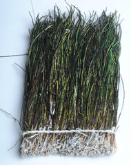 Perfect Hatch Peacock Herl 5-7 inch bundle for lifelike segmented bodies in nymph and saltwater flies