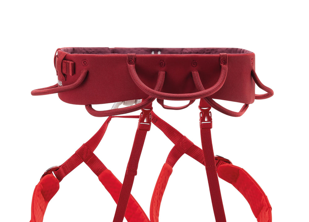 Petzl Adjama CARITOOL compatibility supports racking ice screws on winter climbs.