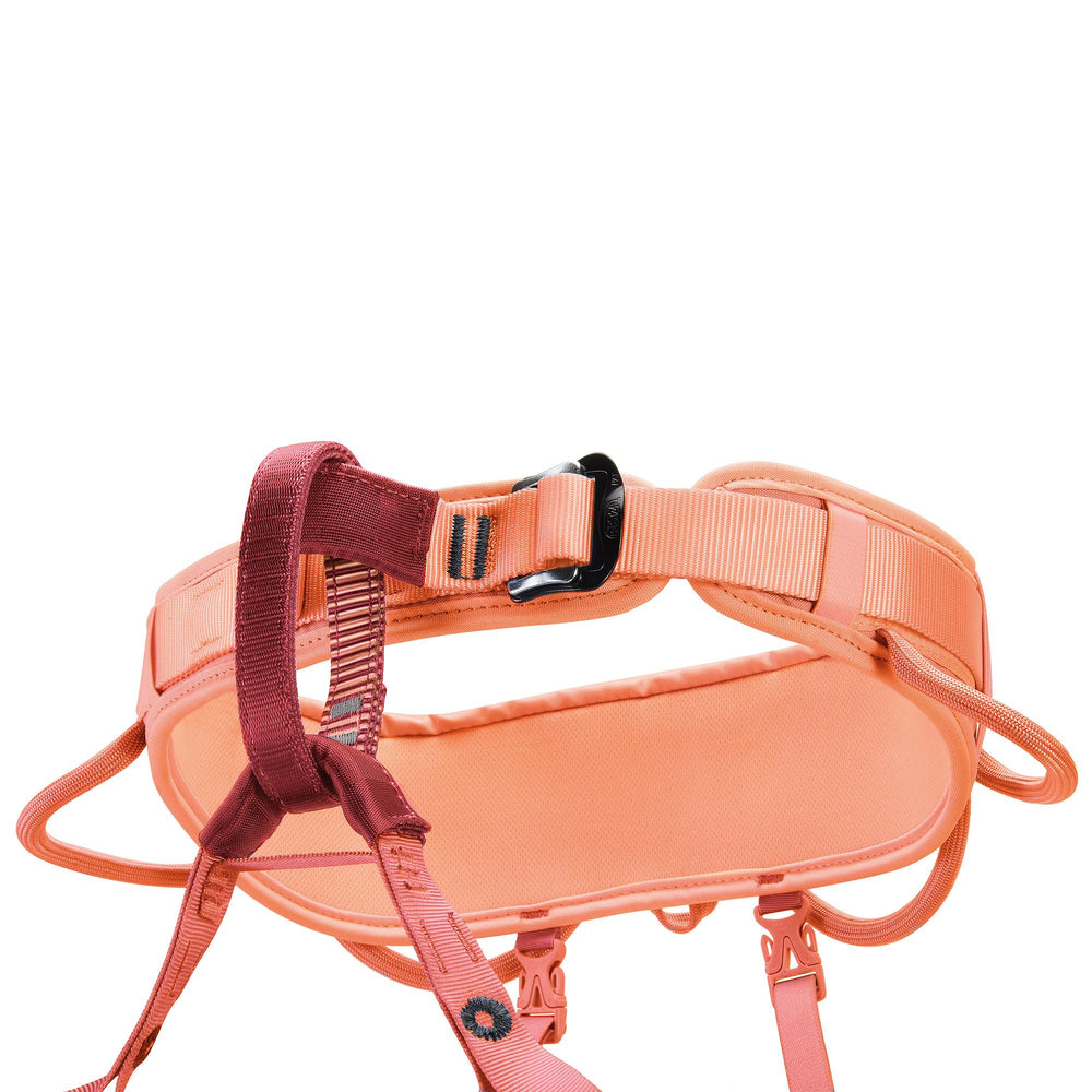 Frame technology in Petzl Corax LT distributes weight for long hangs.