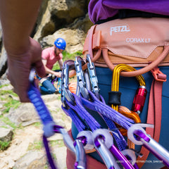 Petzl DJINN AXESS string positioner keeps webbing aligned and protected.