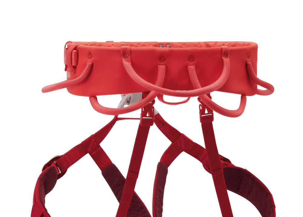 Petzl Luna leg loops with DOUBLEBACK buckles for adjustability.