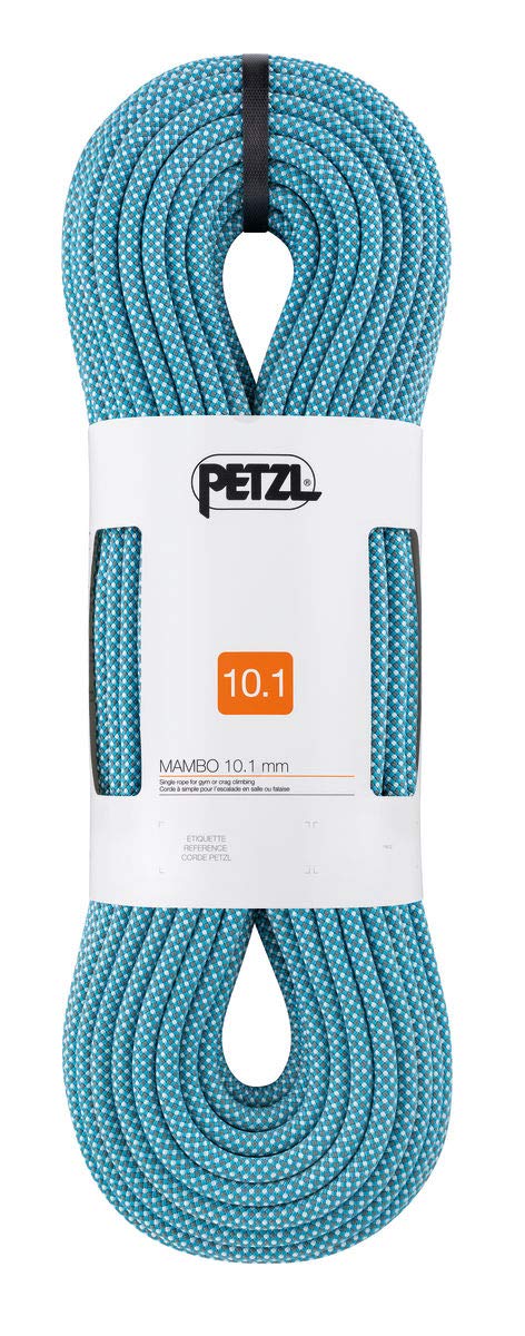 Petzl MAMBO rope 10.1mm turquoise with strong grip for gym or crag use