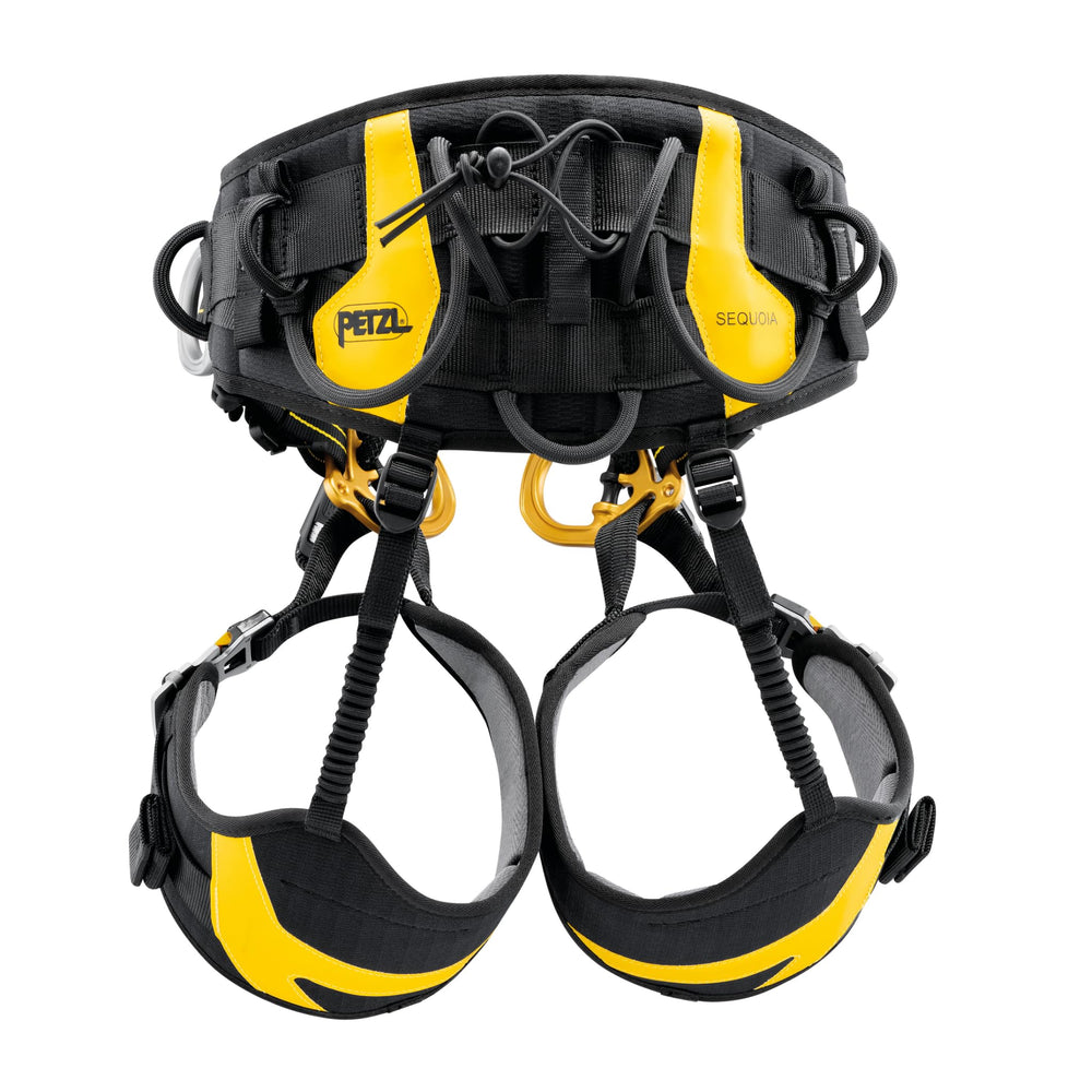 Petzl Sequoia gated rings setup enhances attachment versatility on the bridge.