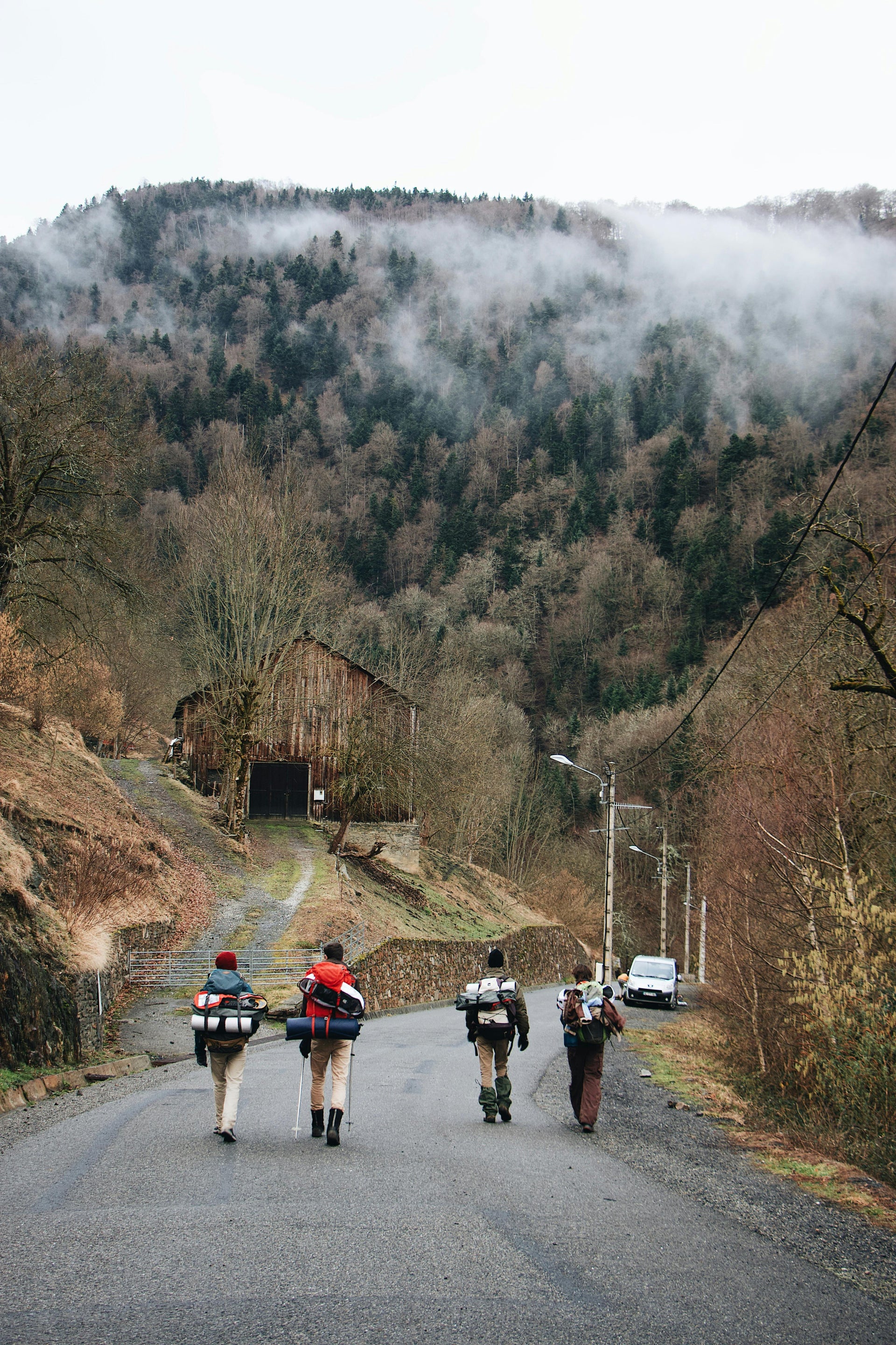 Group of hikers walking through a misty Canadian forest toward a wooden cabin promoting Canada Wild outdoor collection.