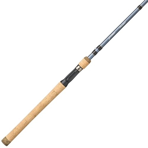 Pflueger President carbon blank closeup highlighting sensitivity and control.
