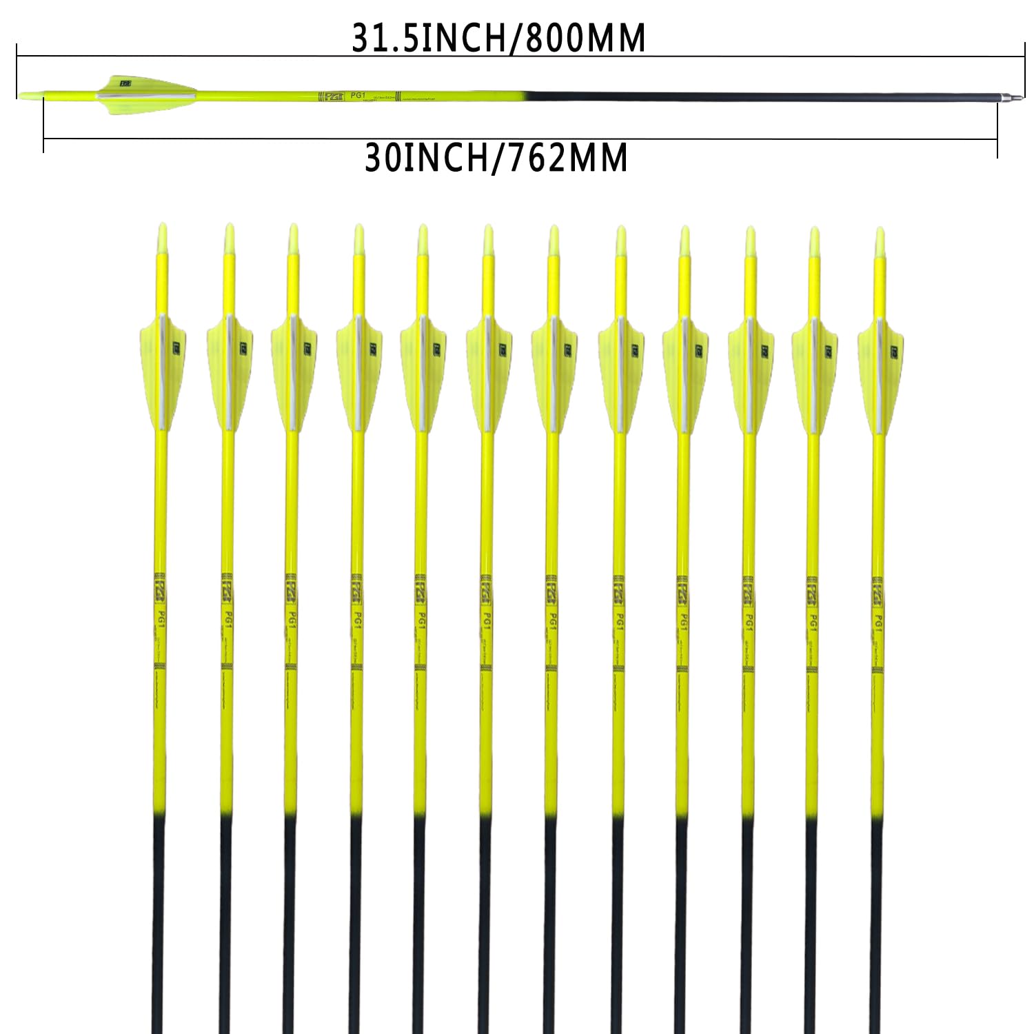 PG1ARCHERY gradient-shaft with bright vanes enhances visibility in fields.