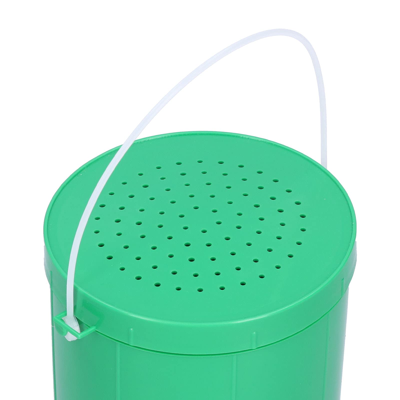 Pilipane Worms Bait Holder green compact design, durable plastic for long lasting sessions.