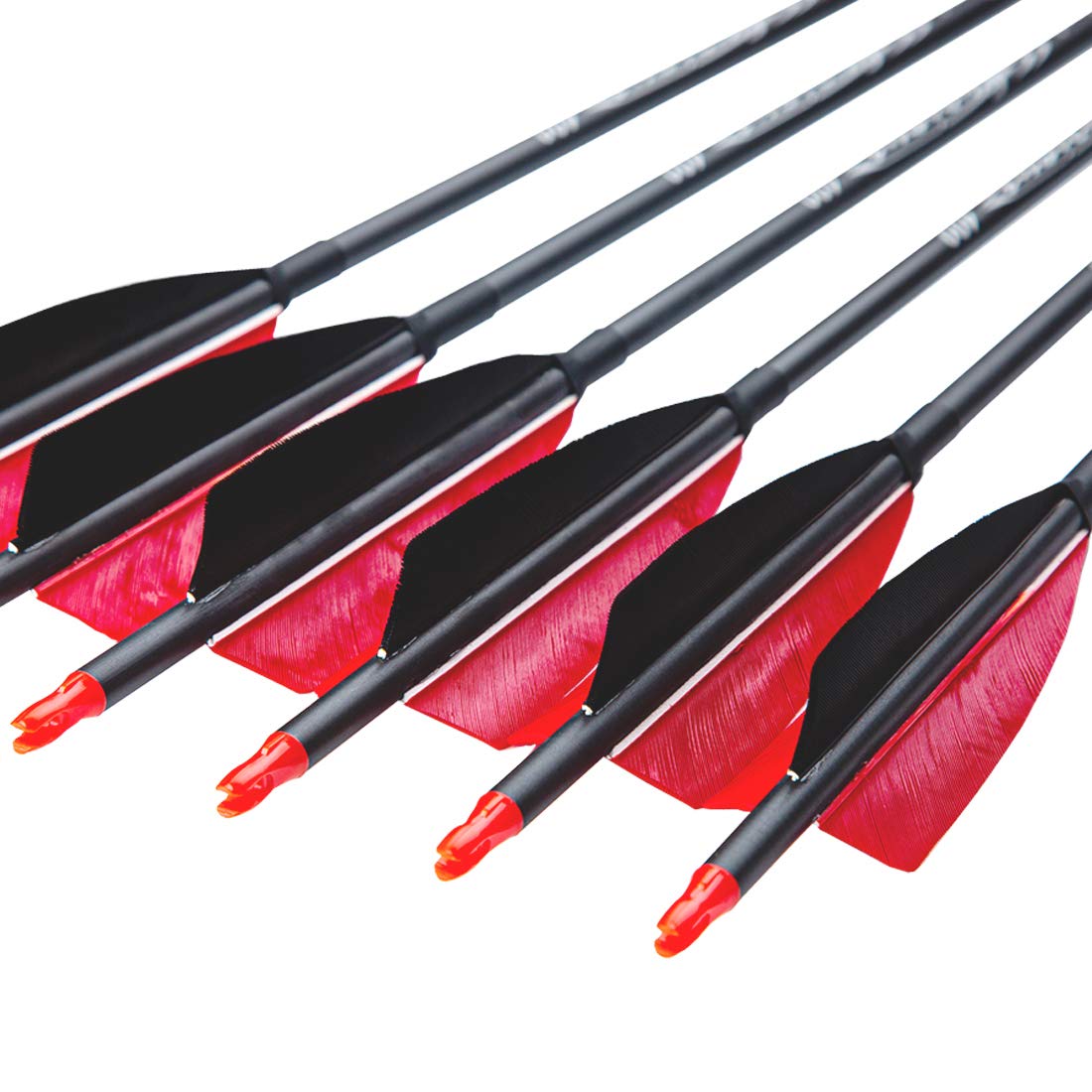 Pinals Archery carbon arrow, 32-inch spine 700 for hunting practice