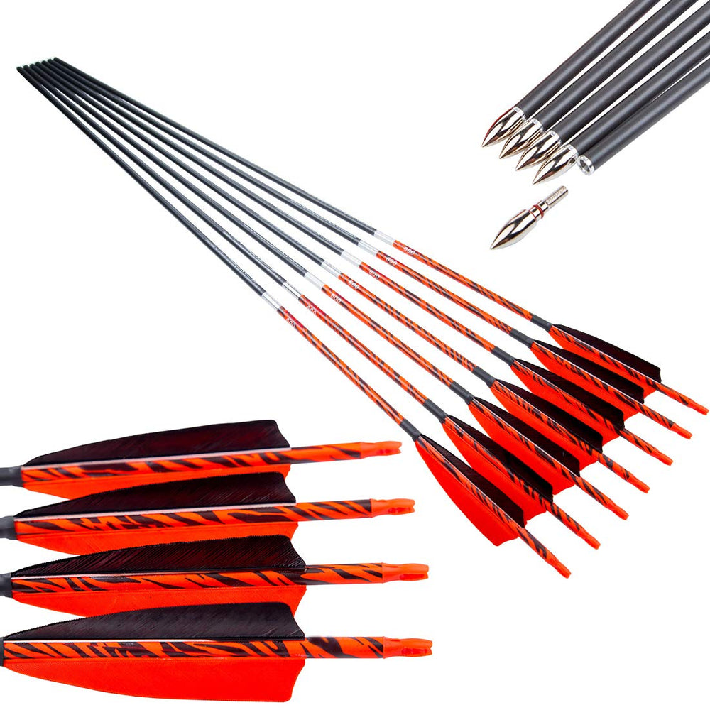 Pinals Archery arrows with 32-inch carbon shafts in flight demonstrate consistent accuracy.