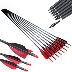 Pinals Archery carbon arrow 30in spine 300 for precision practice.