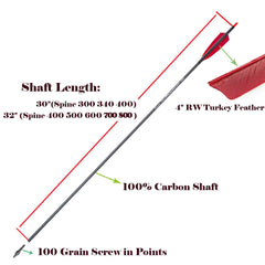 Pinals Archery carbon arrow 30in spine 340 for consistent flight.