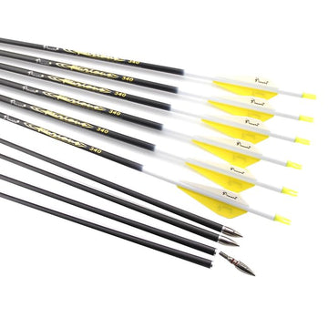 Pinals Archery carbon arrows box with 12-pack for practice and target shooting setups.