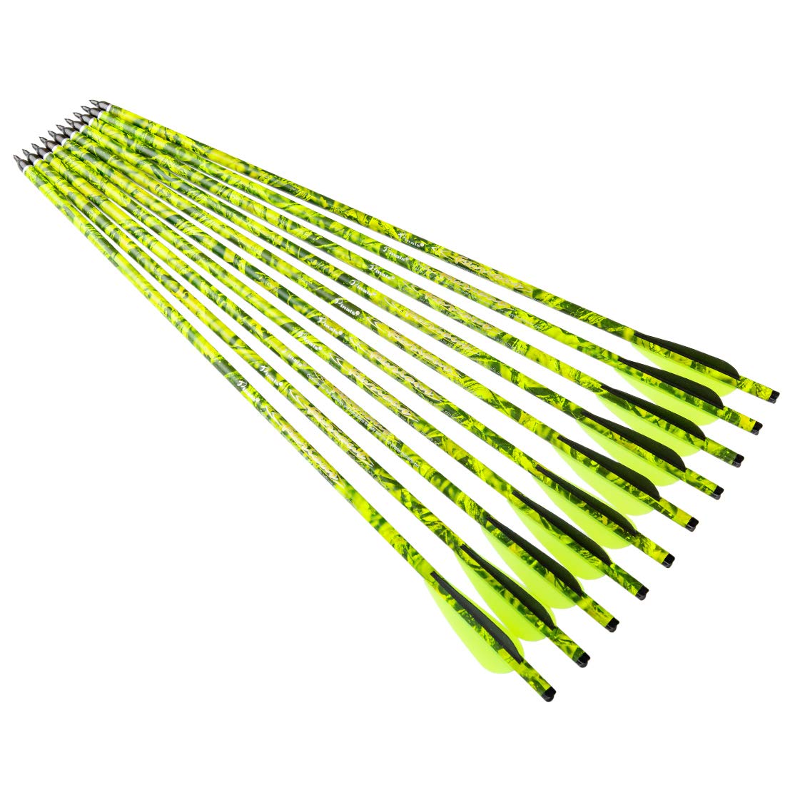 Pinals Archery 100-grain arrow point for consistent impact.