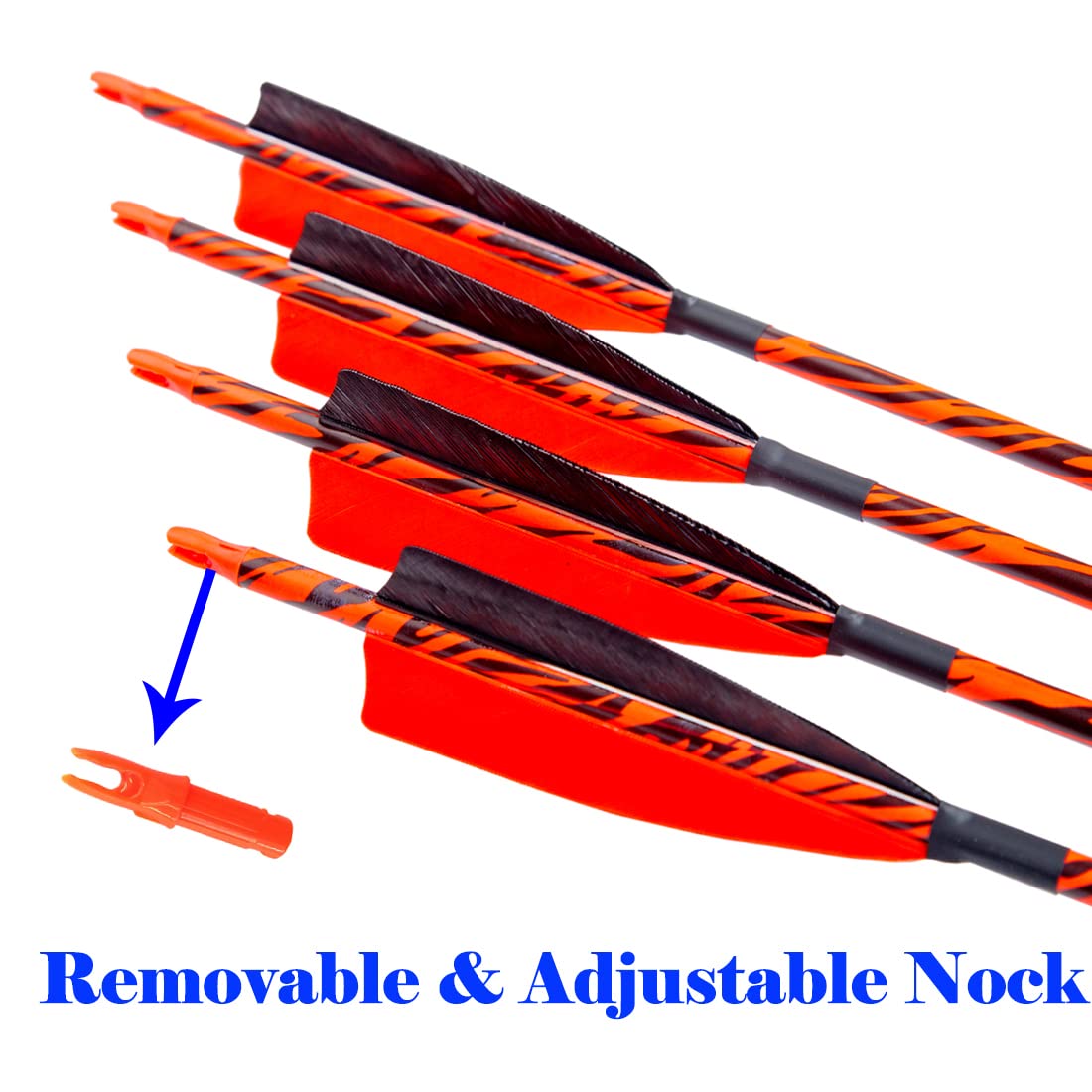 Pinals Archery includes aluminum inserts for quick upgrades after cutting.