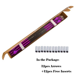 Pinals Archery 100 Grain screw-in point for improved tip stability