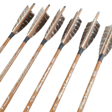 Pinals archery arrows set supports target practice and hunting