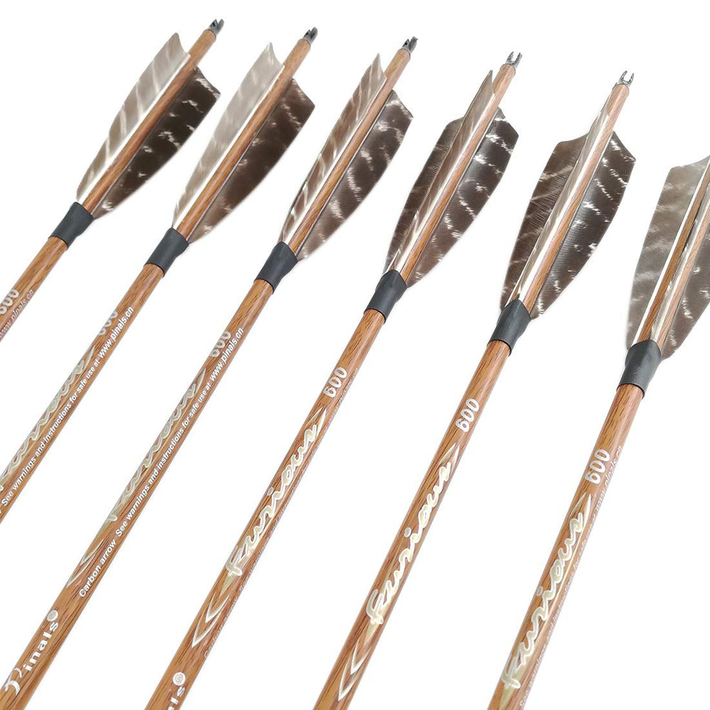 Pinals archery arrows set supports target practice and hunting