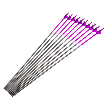 Pinals Archery target-ready arrows deliver consistent flight and accuracy