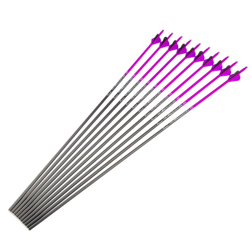 Pinals Archery target-ready arrows deliver consistent flight and accuracy