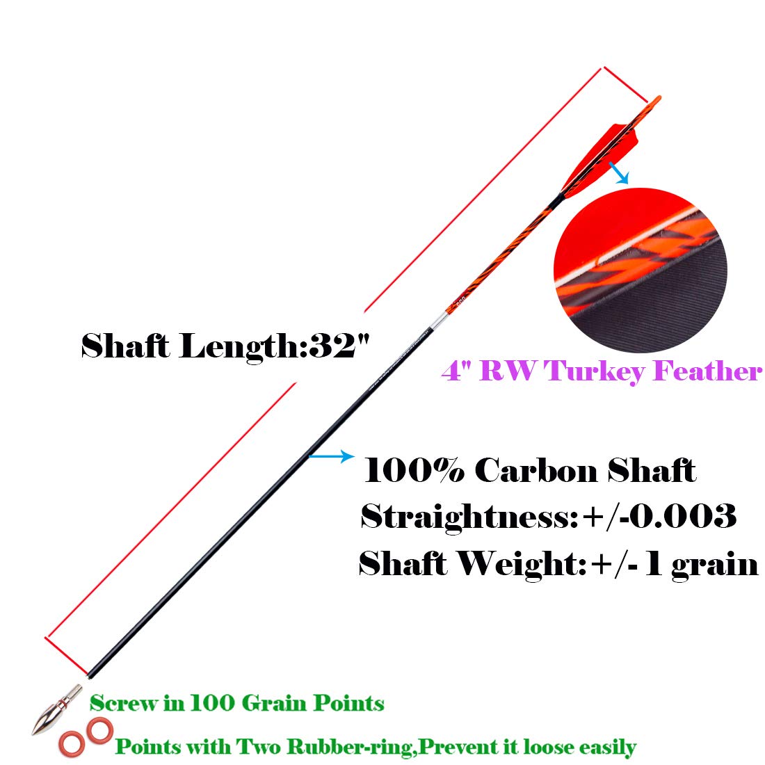 Pinals Archery turkey-feather fletching provides visible stabilization during shots.