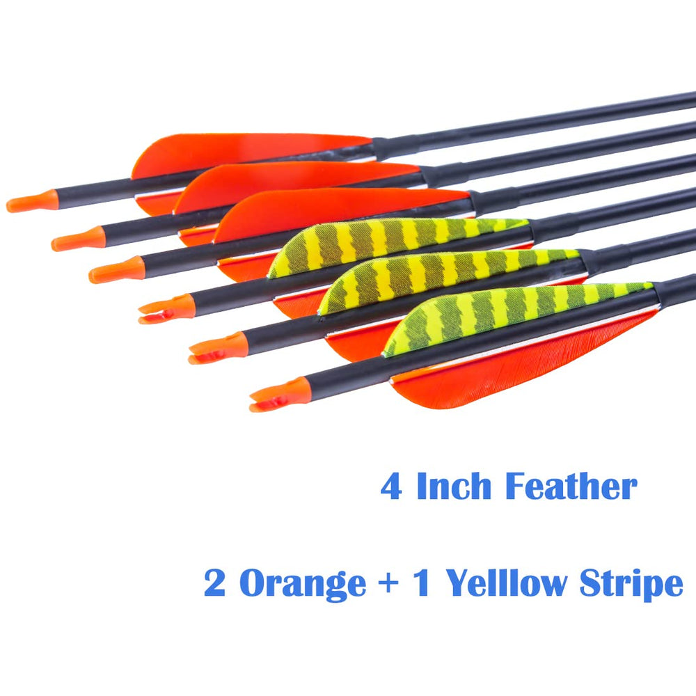 Pinals 4-inch right-wing feathers stabilize flight for precise targeting.
