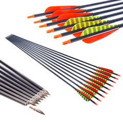 Pinals carbon arrows 300 spine close-up showing durable carbon shaft for target practice.