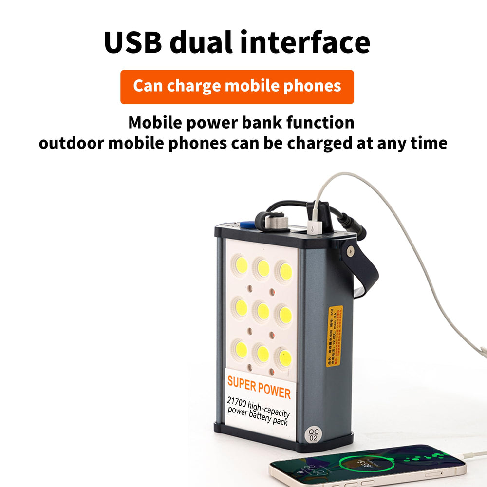 PINSAI rechargeable battery with USB output and battery level display.