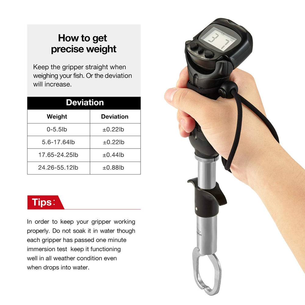 60 lb (27 kg) weight capacity scale with memory