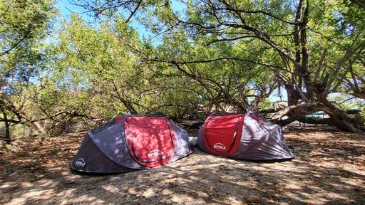 Pittman Outdoors PPI-POPUP2X compact collapsed size fits in the trunk.