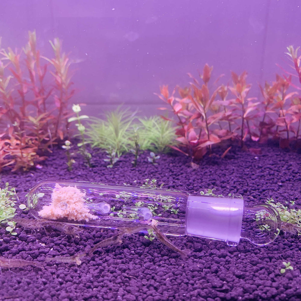 Crayfish friendly aquarium pest catcher suitable for shrimp tanks
