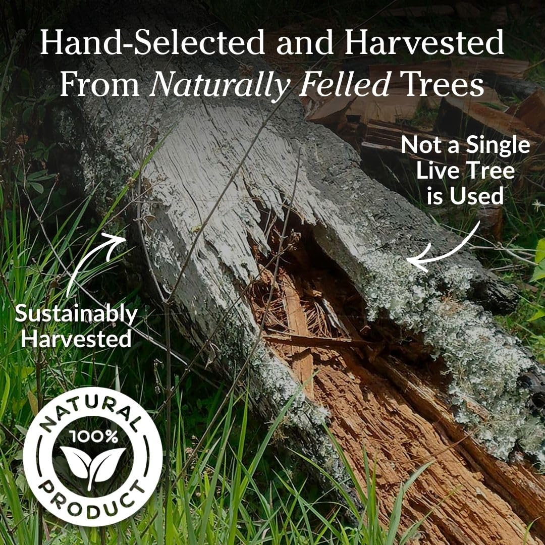 Backyard Fatwood fire pit starters by Plow & Hearth for social evenings