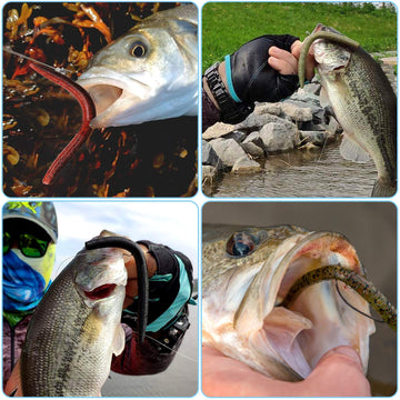 PLUSINNO weights-pack provides versatile tuning for lure balance.