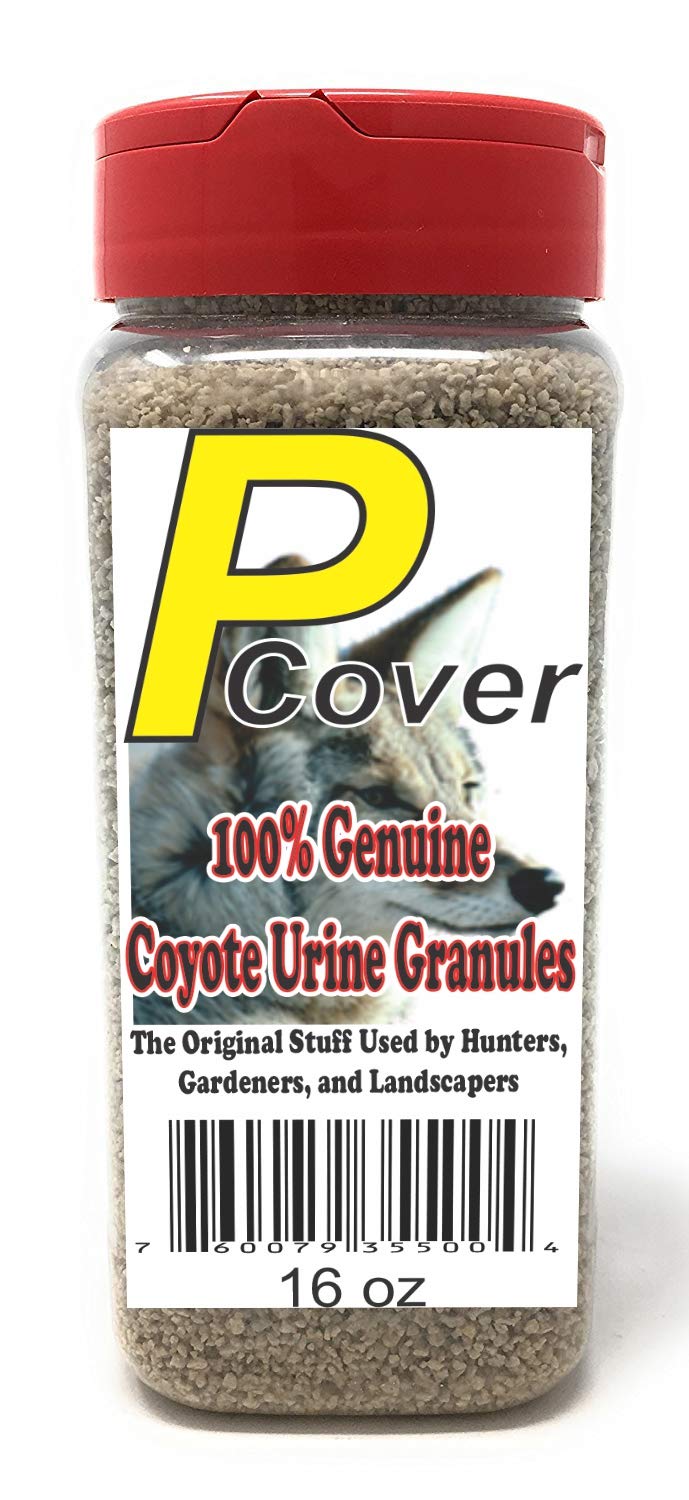 PMart Coyote P-Cover granules deter coyotes around outdoor spaces.
