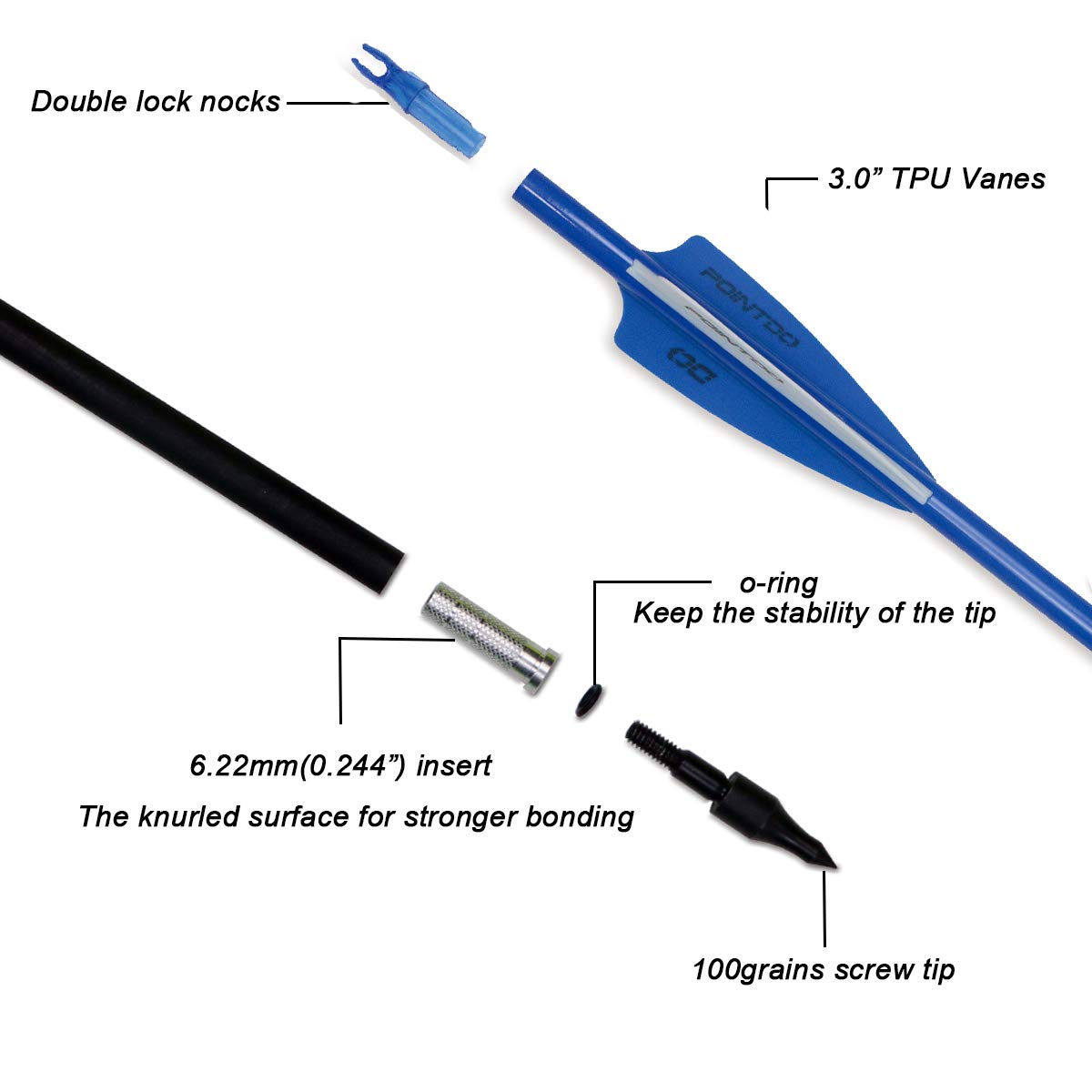 Pointdo 30inch carbon arrow with fluorescent fletching aids quick target location.