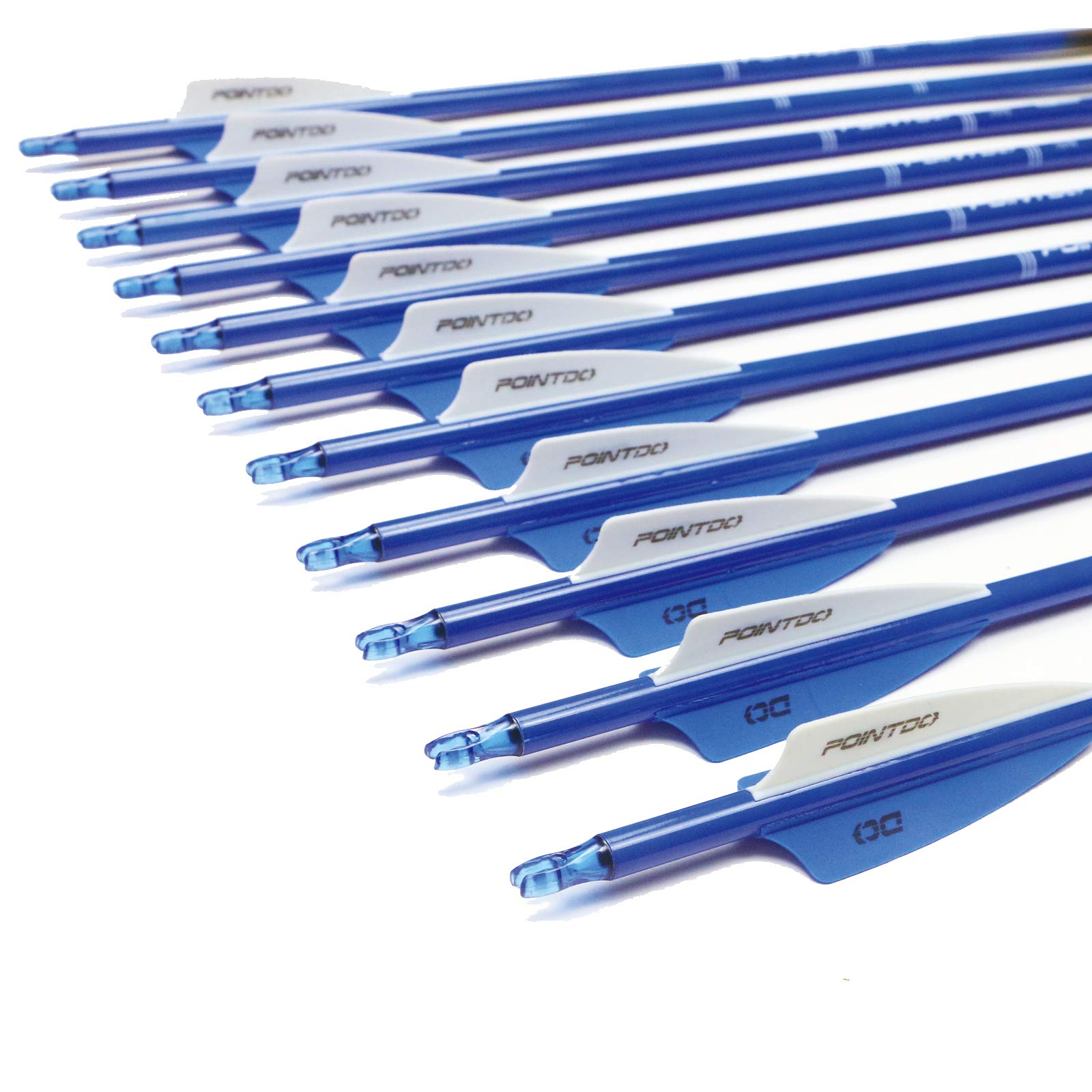 Pointdo arrows show removable tips and adjustable nocks for versatile bow setup.