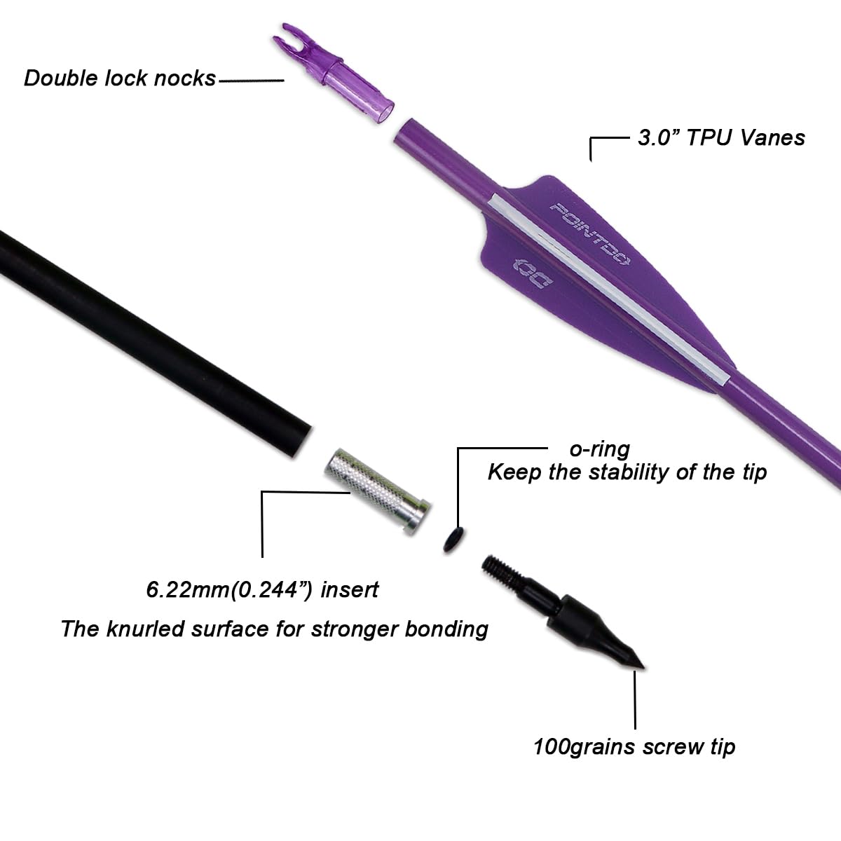 Pointdo fluorescent arrows with purple and white fletching for quick target finding.