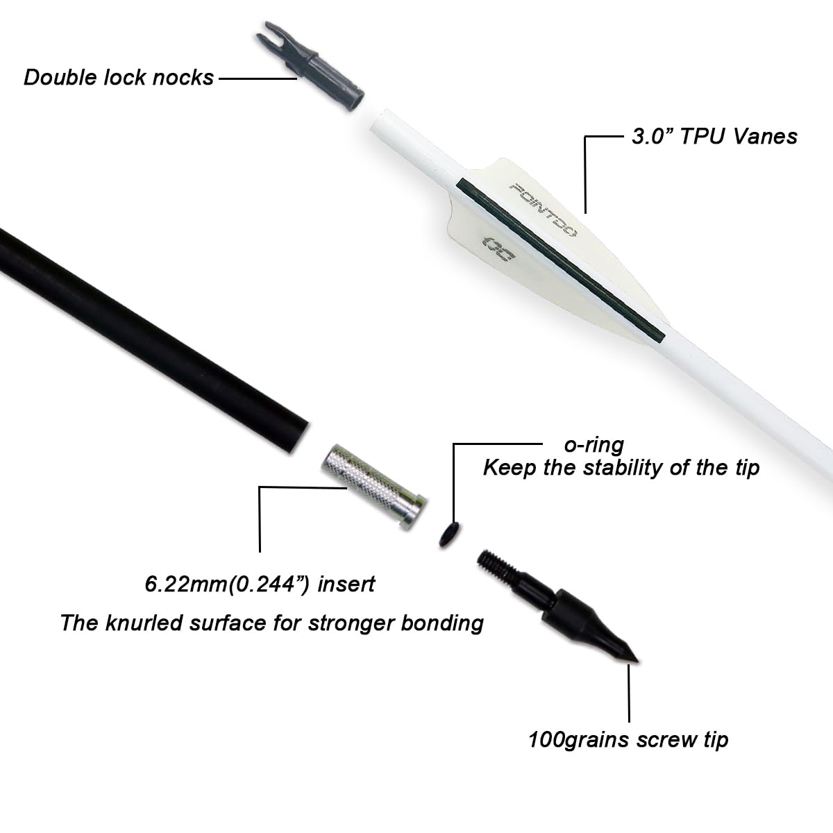 Pointdo 12-pack arrows with removable tips for adaptable bow setups