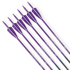 Pointdo pack of 12 carbon arrows includes adjustable nocks for versatile setups.