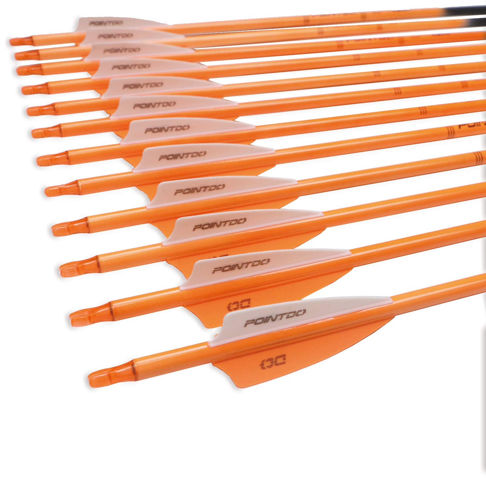 Pointdo removable-tip arrow with adjustable nocks fits multiple bows.