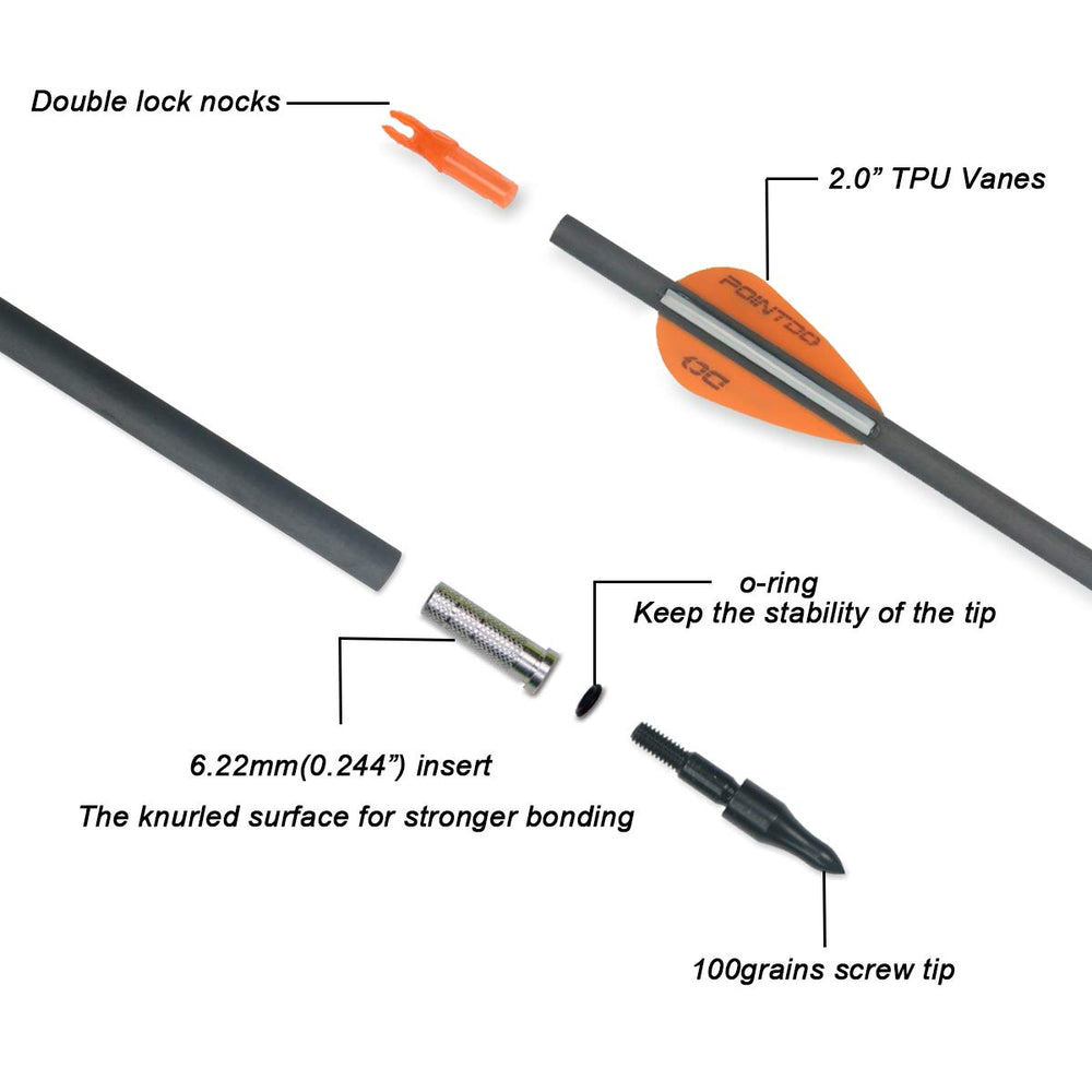 Pointdo XERO removable 100gr tip arrow for versatile field points