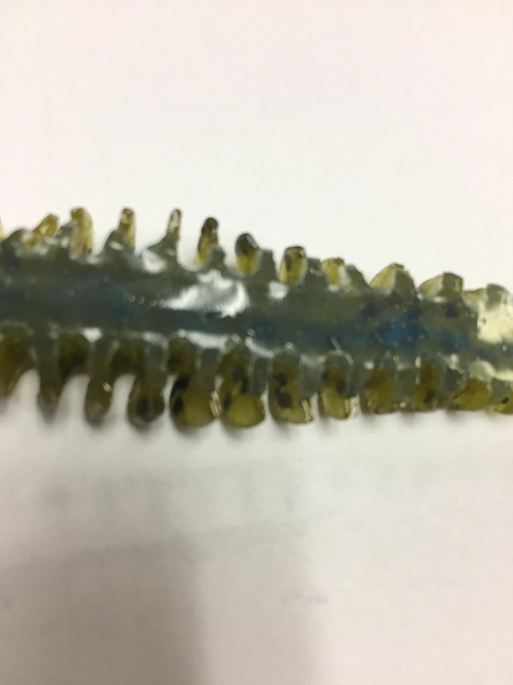 POOR BOY'S BAITS Golby Erie Darter Green on rock showing natural bait mimicry.