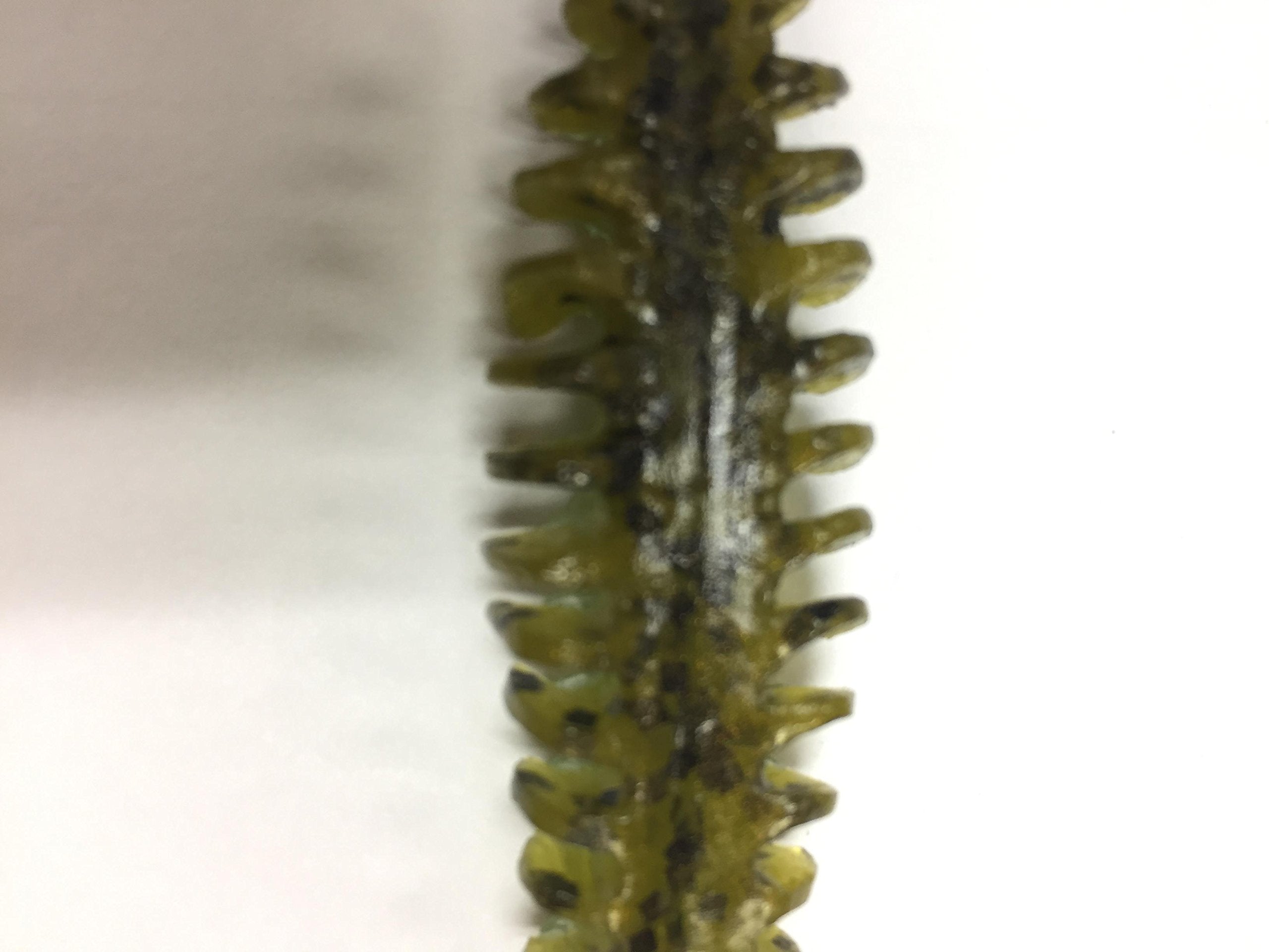 POOR BOY'S BAITS Golby Erie Darter Green packed for versatility and long-lasting action.