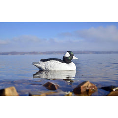 Power Calls Higdon Battleship Bufflehead decoy with foam-filled hull for buoyant performance
