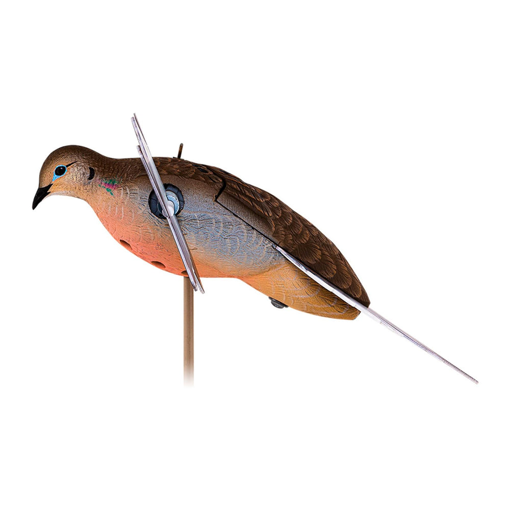 360-degree spinning wings on a life-size PowerFlight Dove decoy