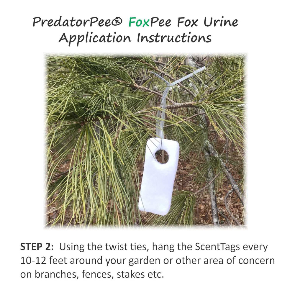 PredatorPee Original Fox Urine - 16oz Spray with ScentTags | Territori ...