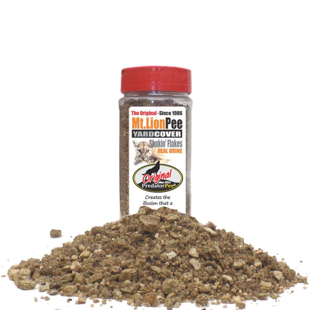 PredatorPee Mt Lion Urine jar shows scent cue for wildlife management and trail marking