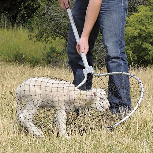 Handle extended fully to 57 inches