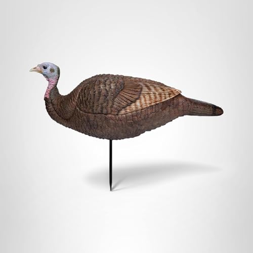 PRIMOS Lil Gobbstopper Hen collapsible design for easy field transport